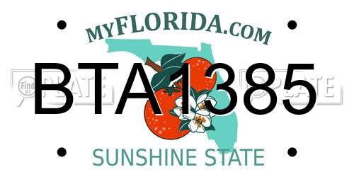 BTA1385 Florida License Plate