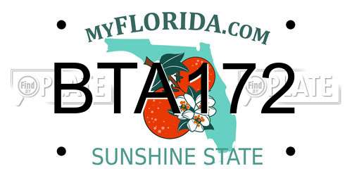 BTA172 Florida License Plate