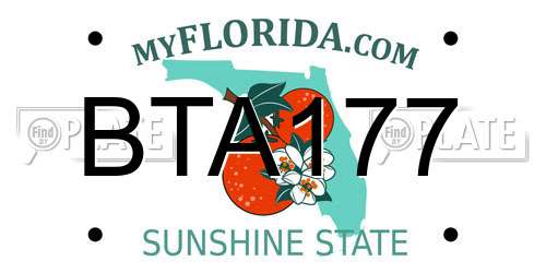 BTA177 Florida License Plate