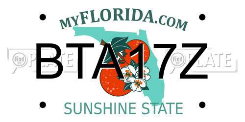 BTA17Z Florida License Plate
