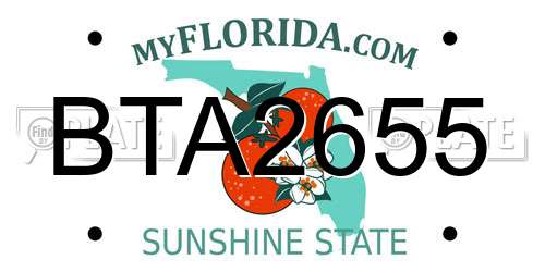 BTA2655 Florida License Plate