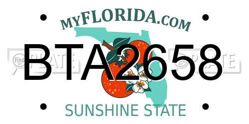 BTA2658 Florida License Plate