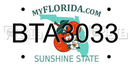 BTA3033 Florida License Plate