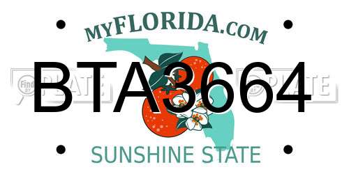 BTA3664 Florida License Plate
