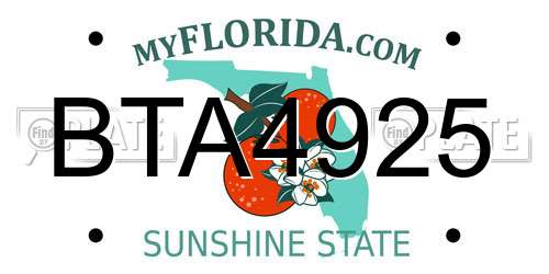 BTA4925 Florida License Plate