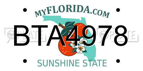 BTA4978 Florida License Plate