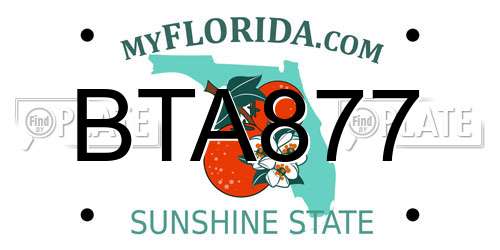 BTA877 Florida License Plate