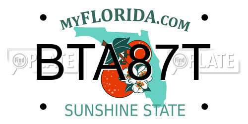 BTA87T Florida License Plate