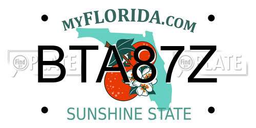 BTA87Z Florida License Plate