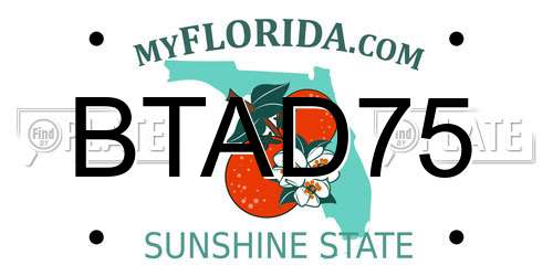 BTAD75 Florida License Plate
