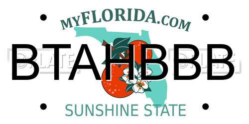 BTAHBBB Florida License Plate