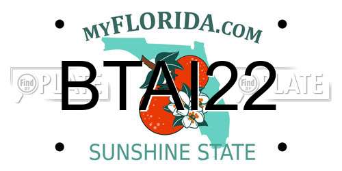 BTAI22 Florida License Plate
