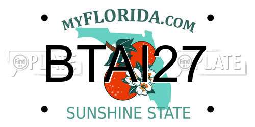 BTAI27 Florida License Plate