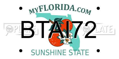 BTAI72 Florida License Plate