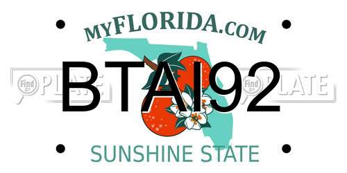 BTAI92 Florida License Plate