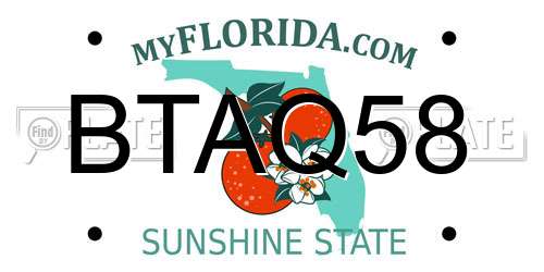 BTAQ58 Florida License Plate