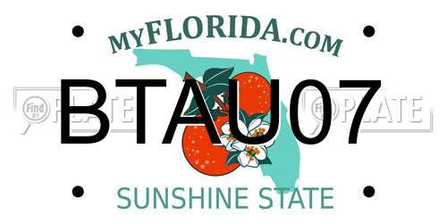 BTAU07 Florida License Plate