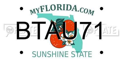 BTAU71 Florida License Plate