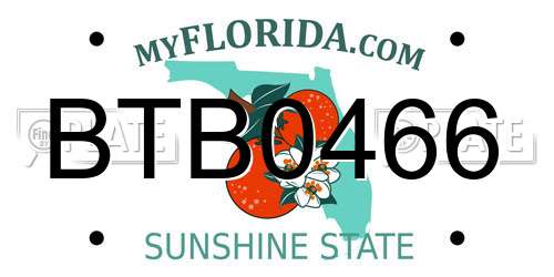 BTB0466 Florida License Plate