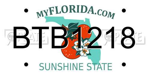 BTB1218 Florida License Plate