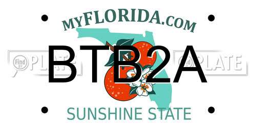 BTB2A Florida License Plate