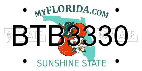 BTB3330 Florida License Plate