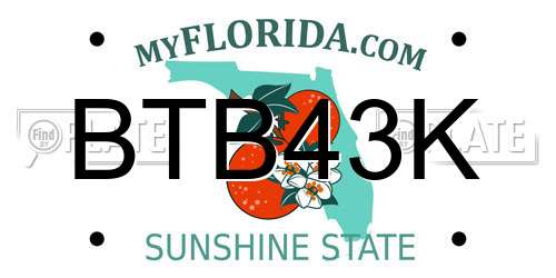 BTB43K Florida License Plate