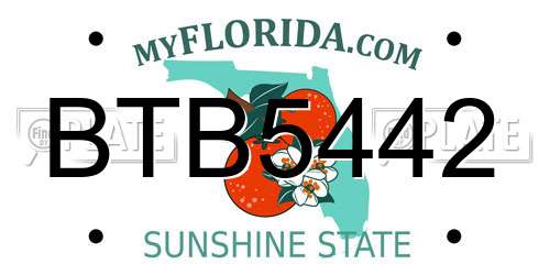 BTB5442 Florida License Plate