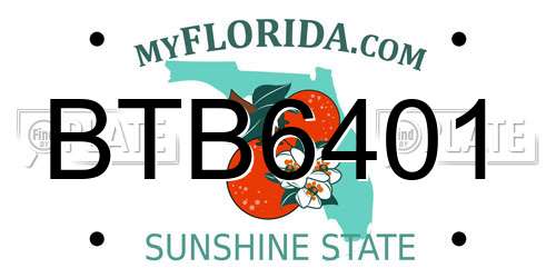 BTB6401 Florida License Plate