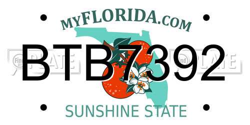 BTB7392 Florida License Plate