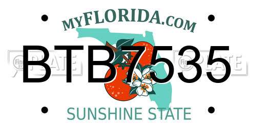 BTB7535 Florida License Plate