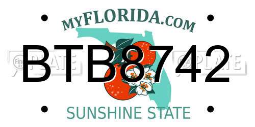 BTB8742 Florida License Plate