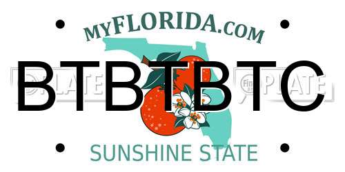 BTBTBTC Florida License Plate