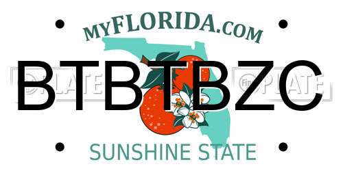 BTBTBZC Florida License Plate