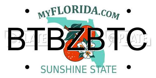 BTBZBTC Florida License Plate