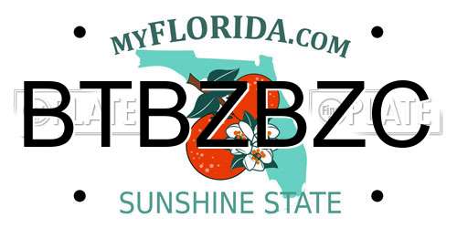 BTBZBZC Florida License Plate
