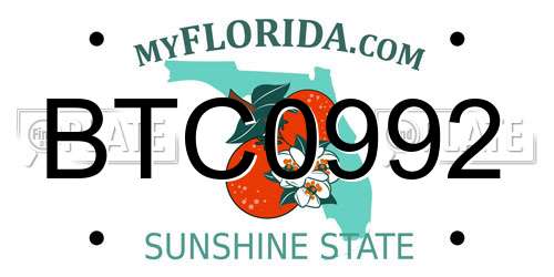 BTC0992 Florida License Plate