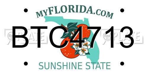 BTC4713 Florida License Plate