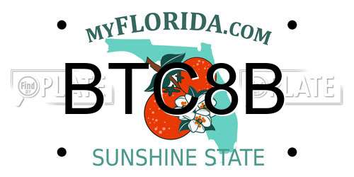 BTC8B Florida License Plate