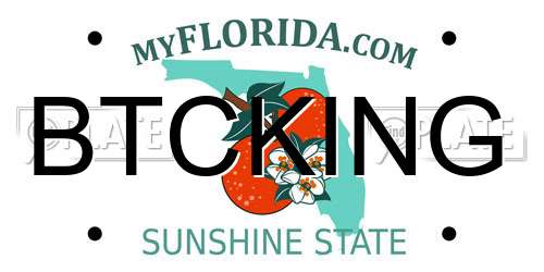 BTCKING Florida License Plate