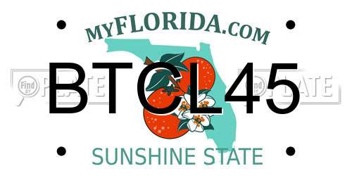 BTCL45 Florida License Plate