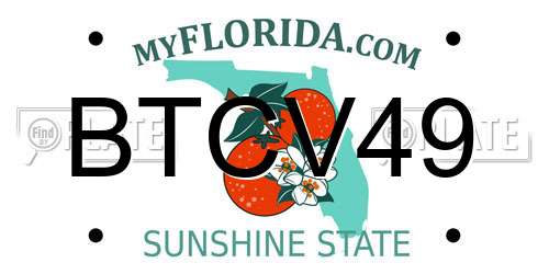 BTCV49 Florida License Plate