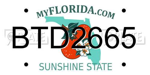 BTD2665 Florida License Plate