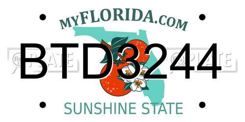 BTD3244 Florida License Plate