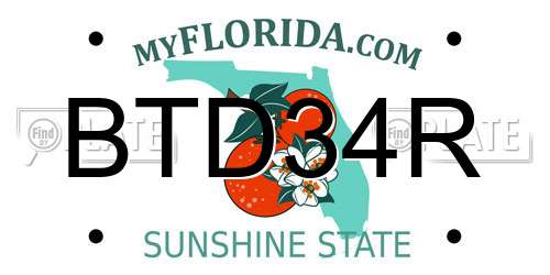 BTD34R Florida License Plate