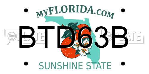 BTD63B Florida License Plate