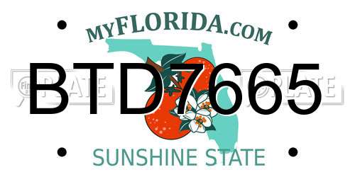 BTD7665 Florida License Plate