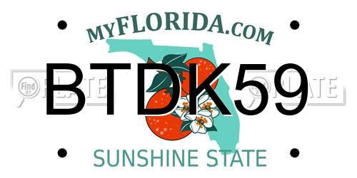 BTDK59 Florida License Plate