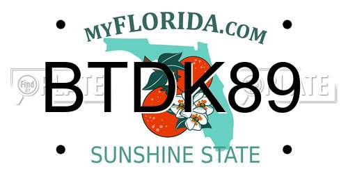 BTDK89 Florida License Plate