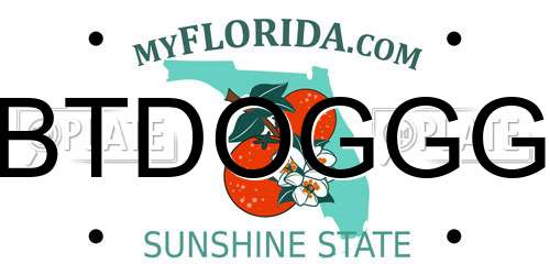 BTDOGGG Florida License Plate